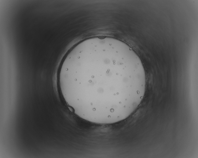 X0000100490148200807111130