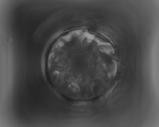X0000100490149200807111130