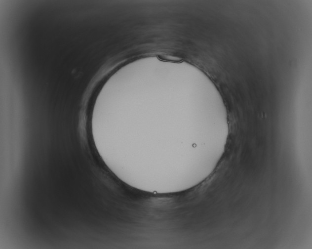 X0000100490150200807111130