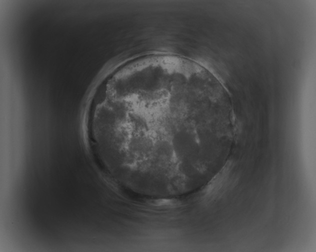 X0000100490151200807111130