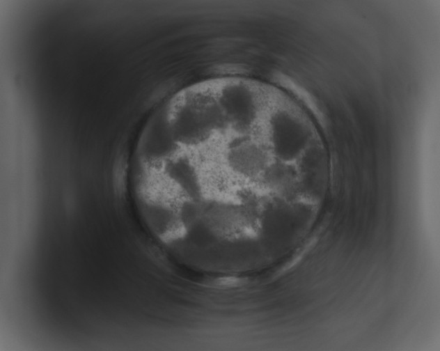 X0000100490153200807111130