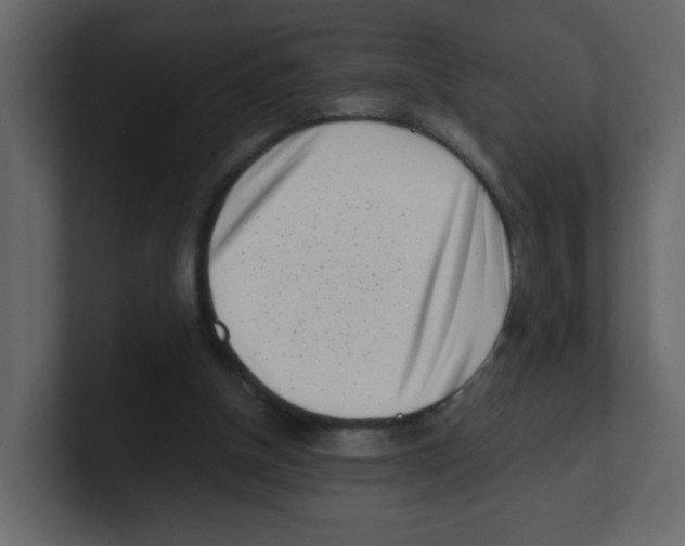 X0000100490154200807111130