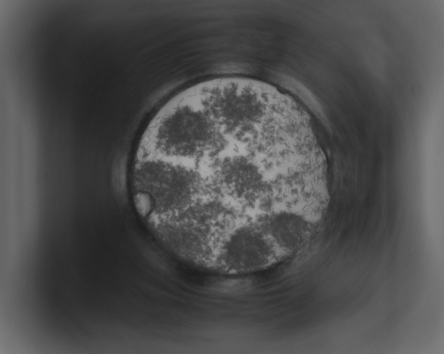 X0000100490155200807111130