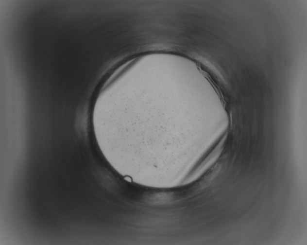 X0000100490156200807111130