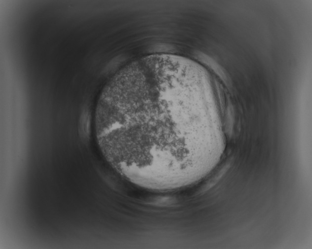 X0000100490157200807111130