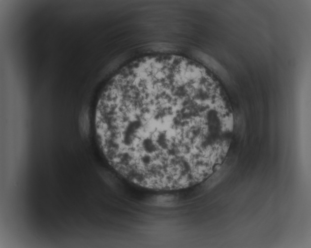 X0000100490158200807111130