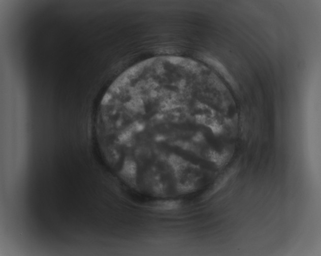X0000100490161200807111130
