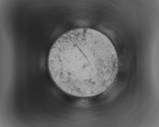X0000100490162200807111130
