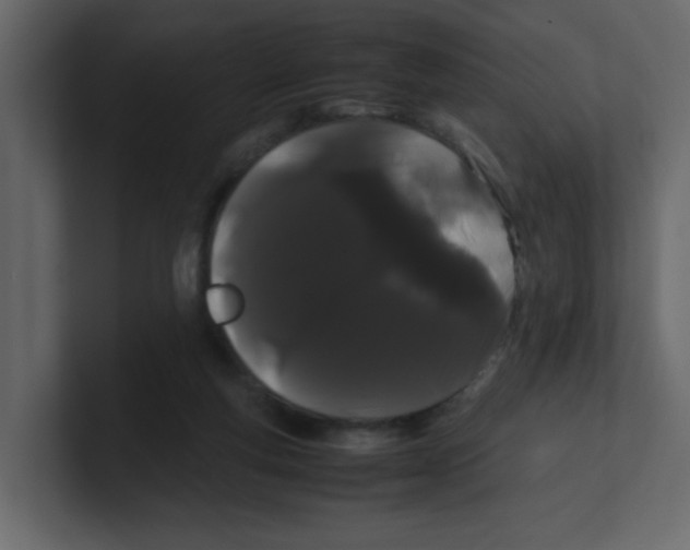 X0000100490163200807111130