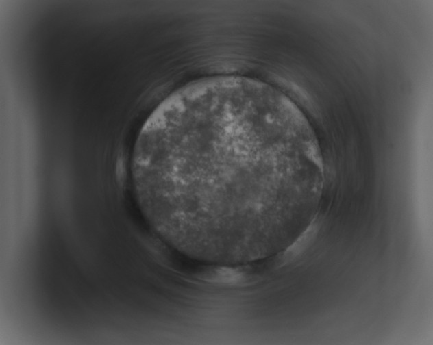 X0000100490166200807111130