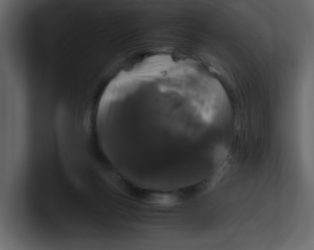 X0000100490167200807111130