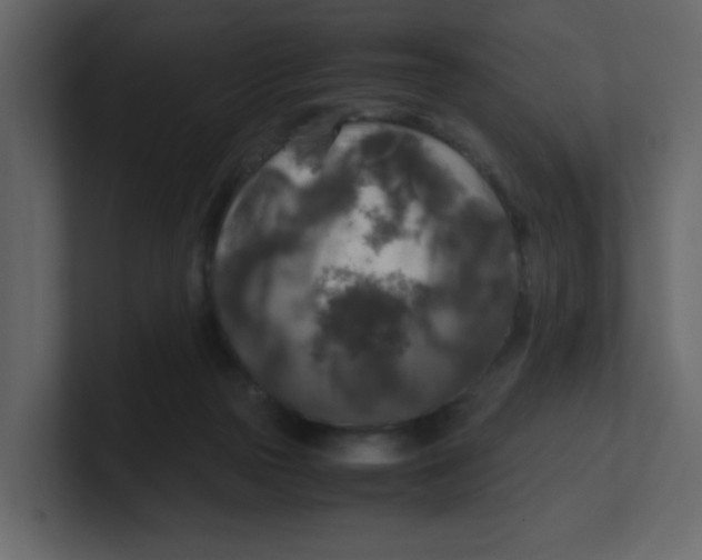 X0000100490169200807111130