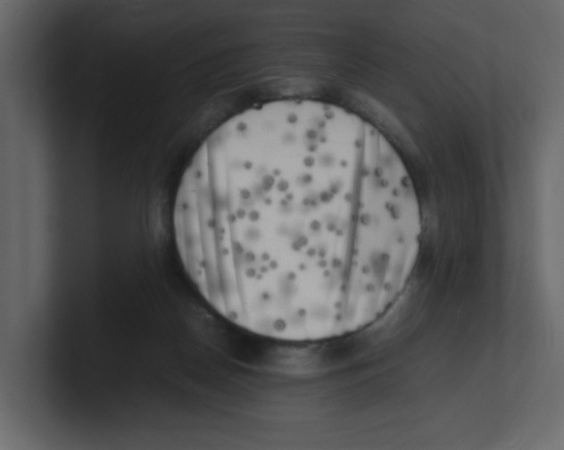 X0000100490170200807111130