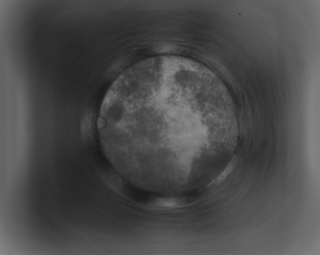 X0000100490171200807111130