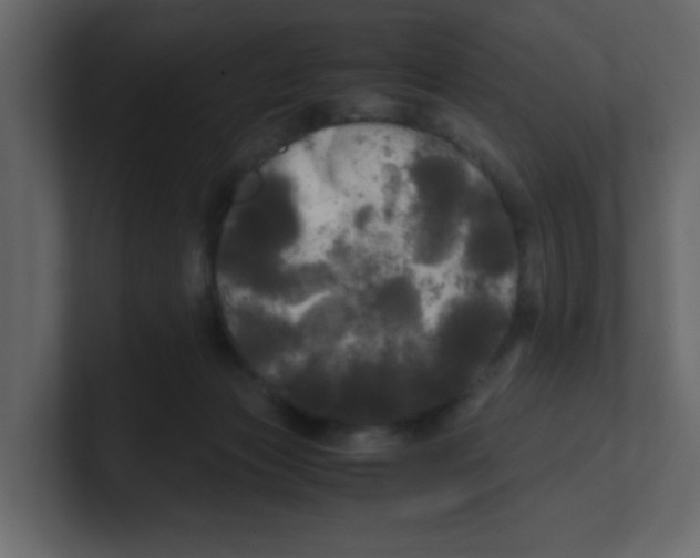 X0000100490173200807111130