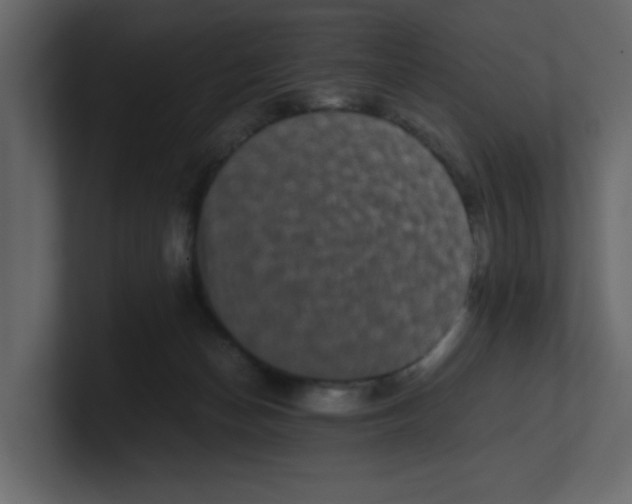 X0000100490174200807111130