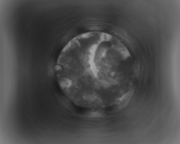 X0000100490175200807111130