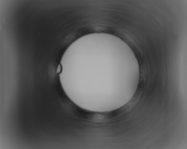 X0000100490176200807111130