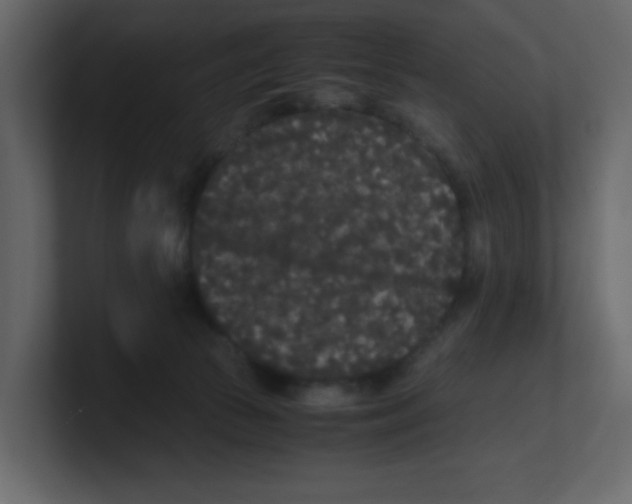 X0000100490177200807111130