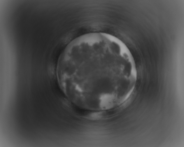 X0000100490178200807111130