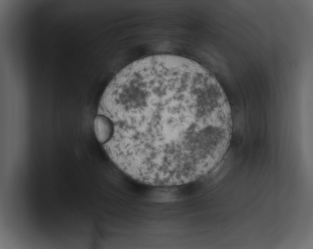 X0000100490179200807111130