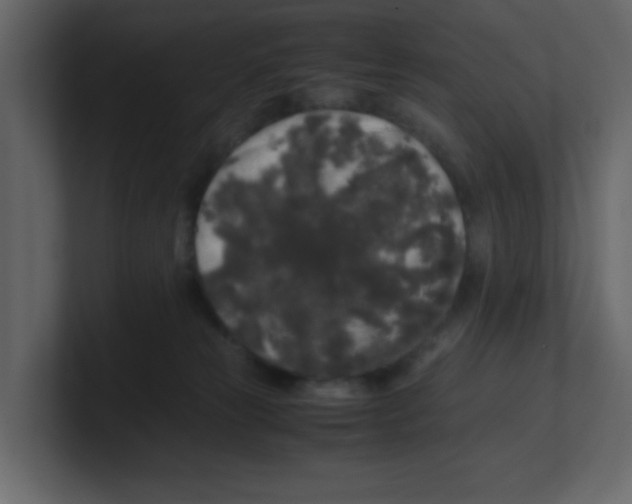 X0000100490181200807111130
