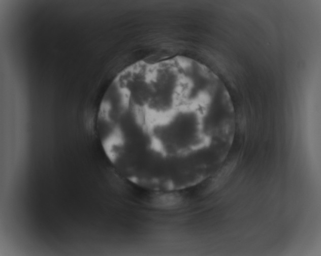 X0000100490185200807111130