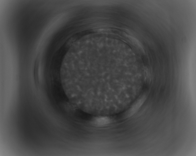 X0000100490189200807111130