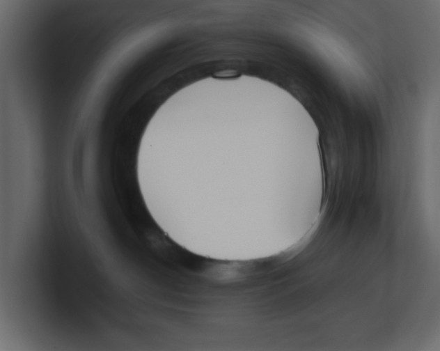 X0000100490190200807111130