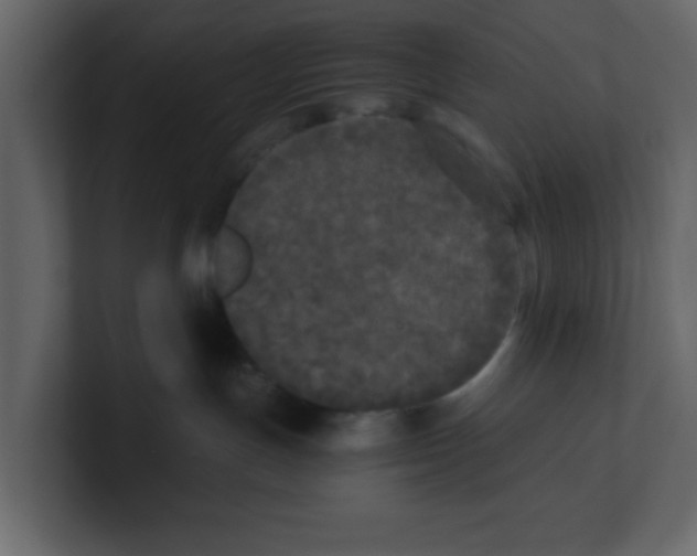 X0000100490191200807111130