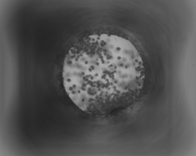 X0000100490192200807111130