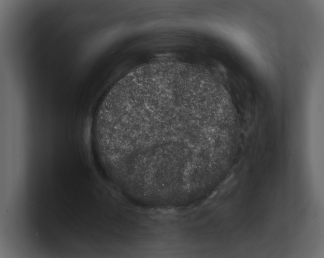 X0000100490194200807111130