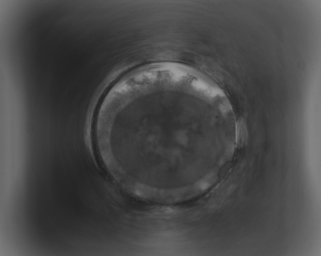 X0000100490195200807111130