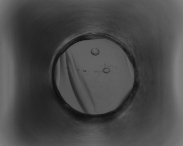 X0000100490196200807111129
