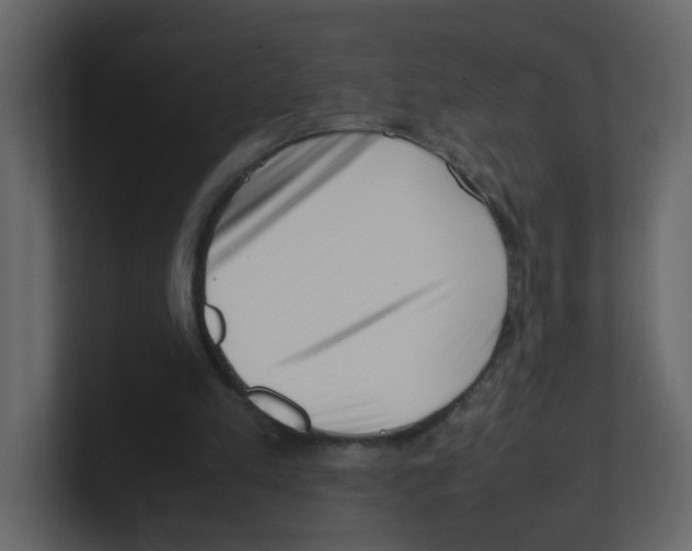 X0000100490197200807111129