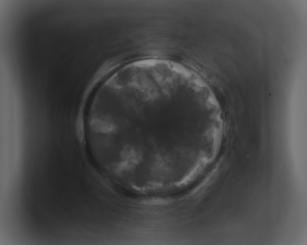 X0000100490198200807111129