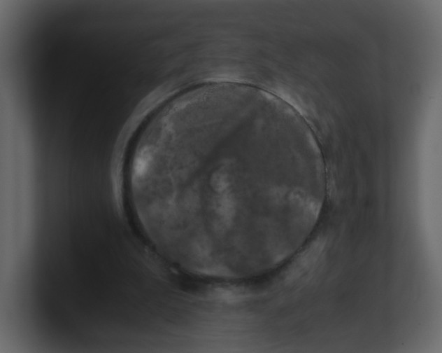 X0000100490199200807111129