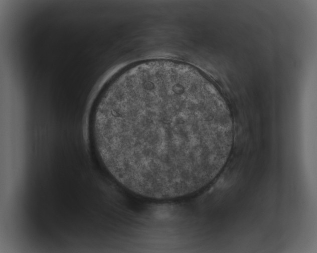 X0000100490200200807111129