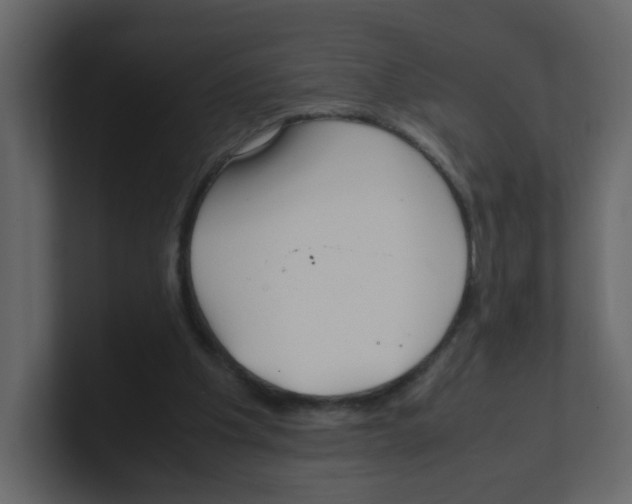 X0000100490201200807111129