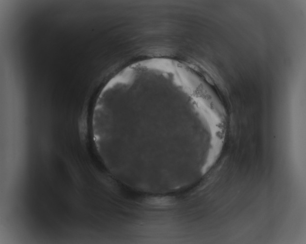 X0000100490202200807111129