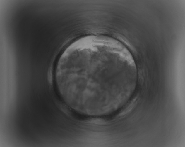 X0000100490203200807111129