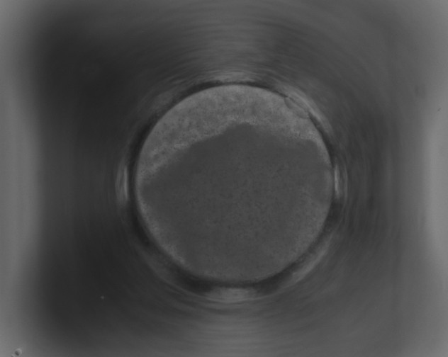 X0000100490205200807111129