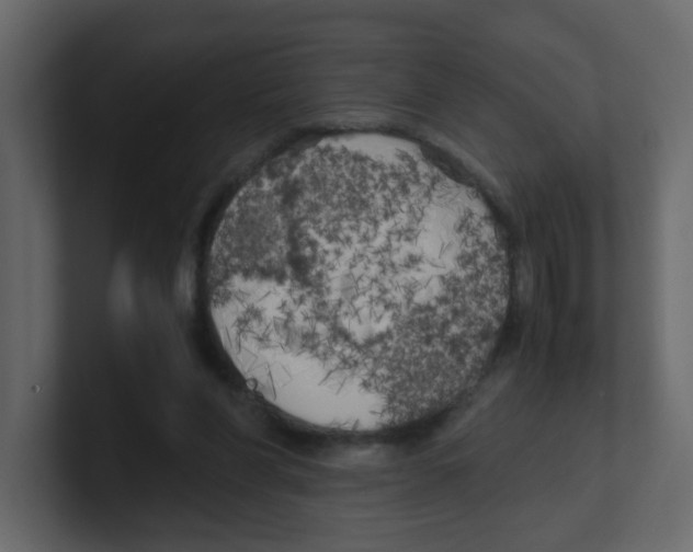 X0000100490206200807111129