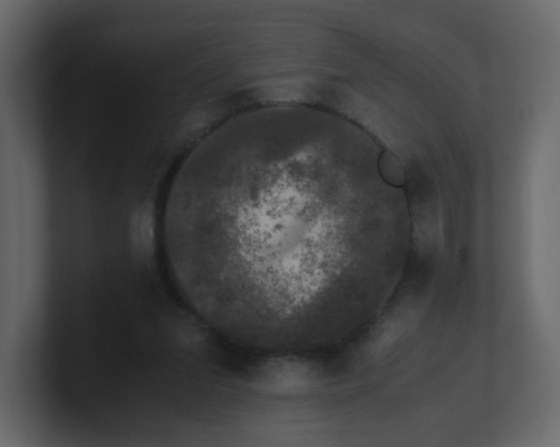 X0000100490207200807111129