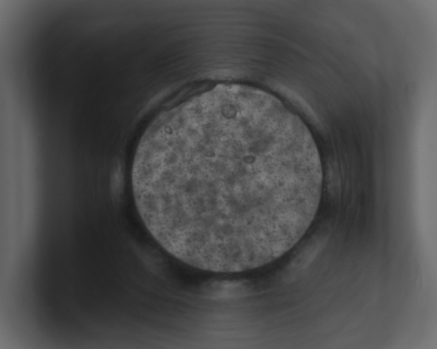 X0000100490208200807111129