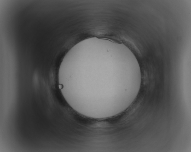 X0000100490210200807111129