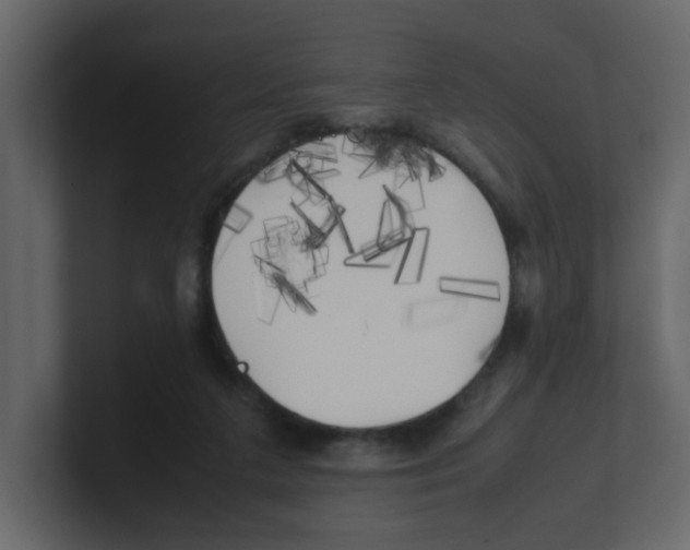 X0000100490211200807111129
