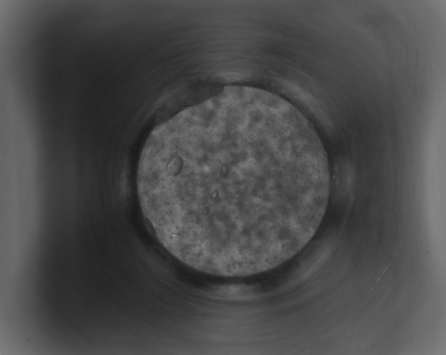 X0000100490212200807111129