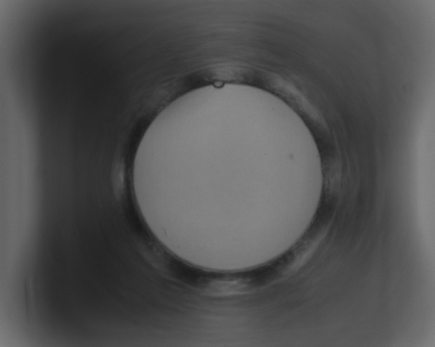 X0000100490213200807111129
