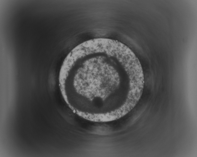 X0000100490215200807111129